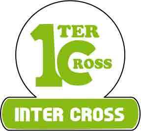 1ter cross